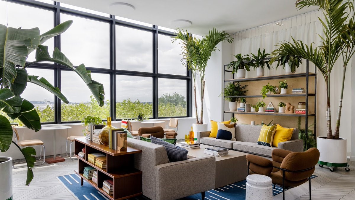 Reasons Real Indoor Houseplants Make all The Difference in Your Space