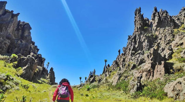 Park fees slashed by 50 per cent as tourism ministry unveils recovery plan » Capital News