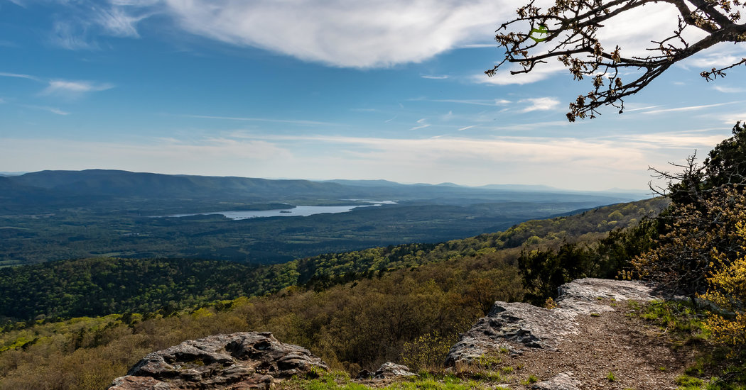You Can’t Go Anywhere, but Ads Still Promise Retreats