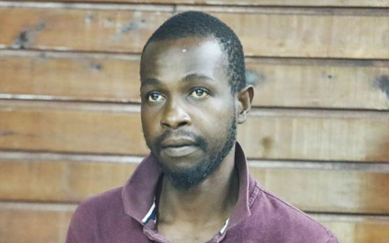 I won’t do it again, stowaway found on ship tells court