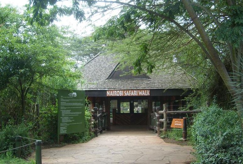 A game walk in the heart of Nairobi city