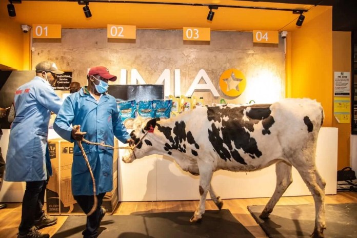 Jumia launches 'Kila Siku ni Black Friday' November Campaign