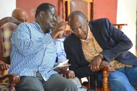 Difference Between Kenyatta, Odinga Dynasties - Makau Mutua