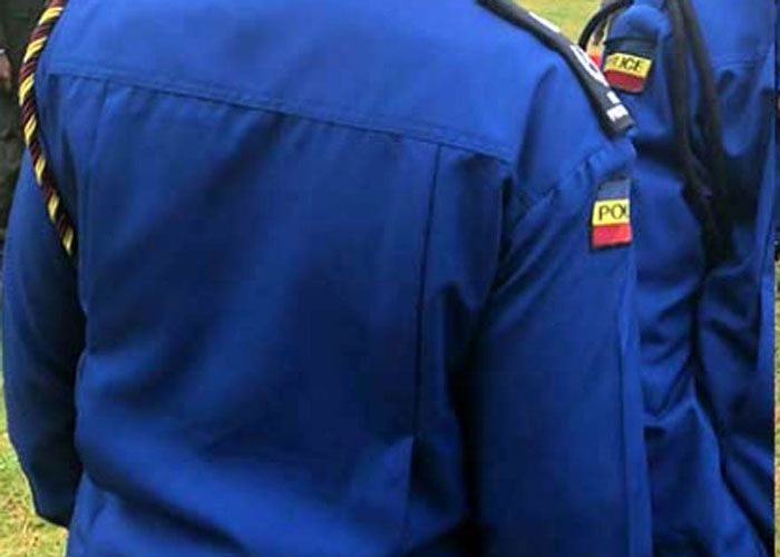 5 chiefs arrested after 'arresting' regional police boss at roadblock
