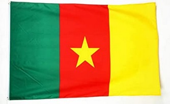 Cameroon says no to hosting final stages of African Champions League : The standard Sports