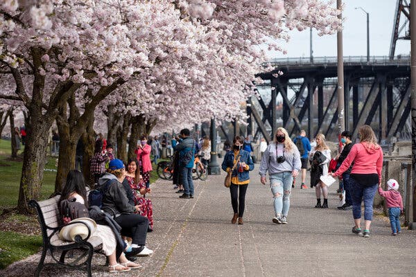 Crowds gather along the waterfront in downtown Portland, Ore. last month.