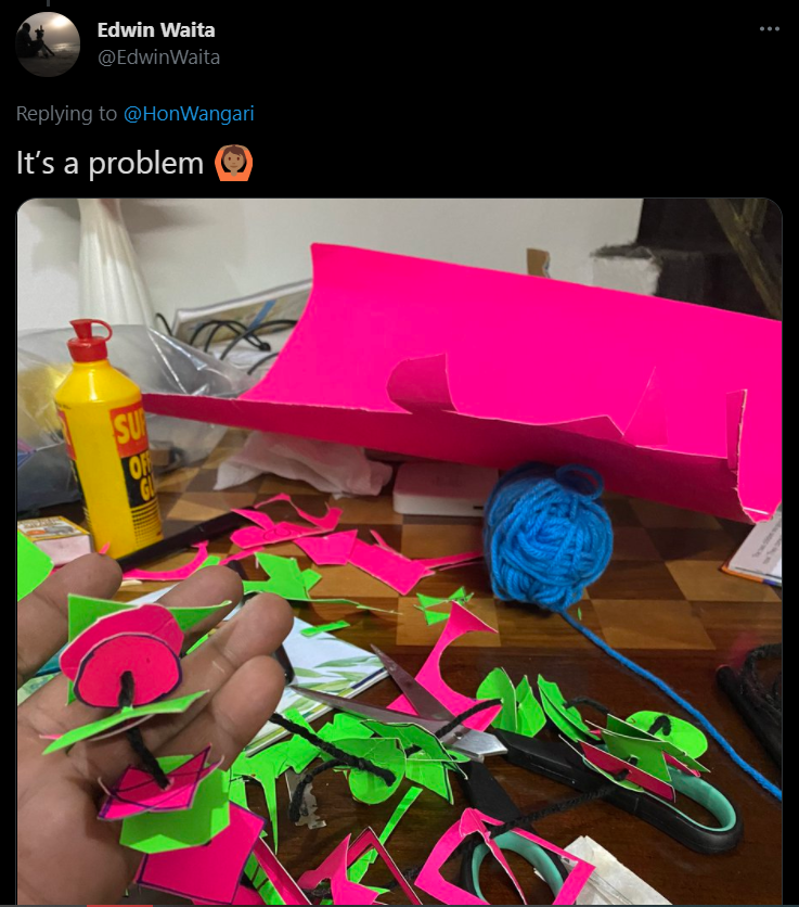 Gilgil MP Martha Wangari sparks debate after posting child's CBC school project 