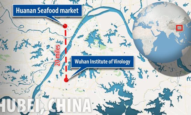 WHO, Wuhan lab hack reveals coronavirus ‘spliced’ with HIV to make it deadly, spread using dry ice?