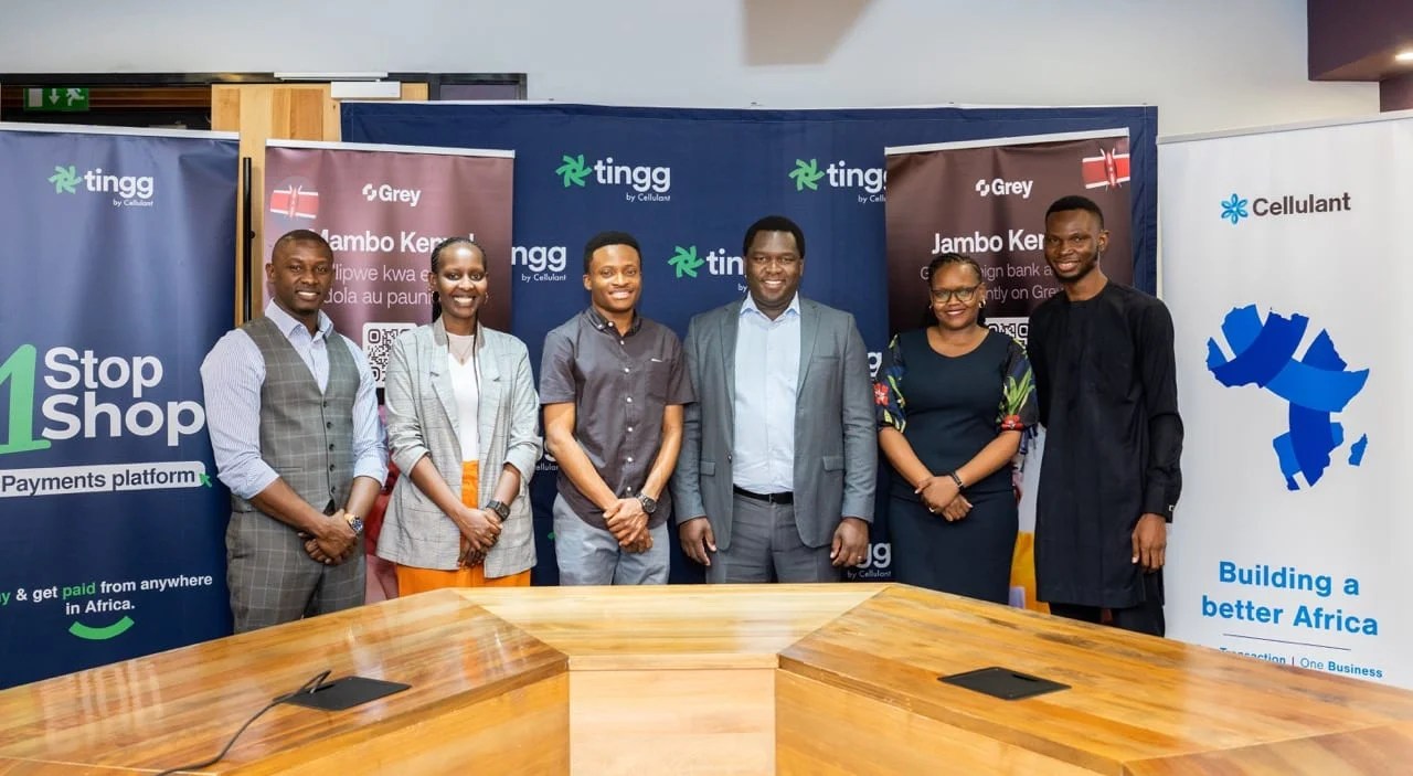 'Grey' fintech offering Foreign Bank Accounts and Instant Money Transfer expands to Kenya