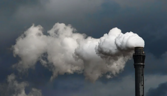 African CEOs Score Poorly On Climate Change Strategies