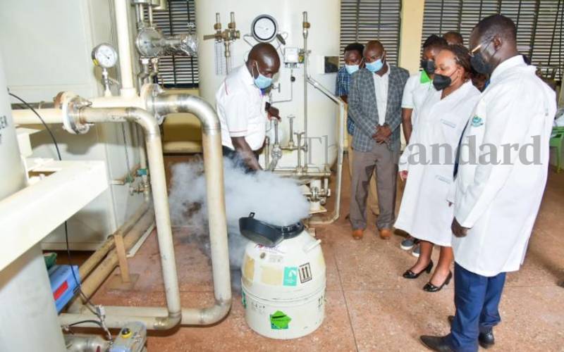 Kirinyaga launches AI service to improve breeds