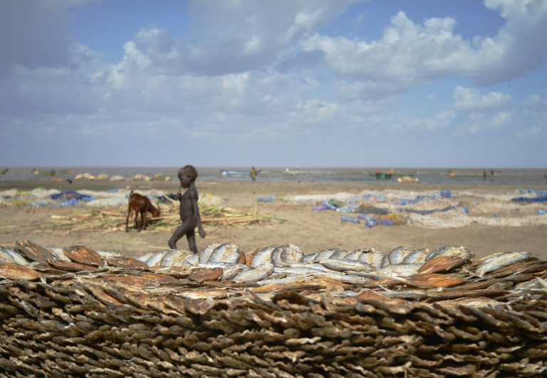 Why 16 counties are facing drought in Kenya » Capital News