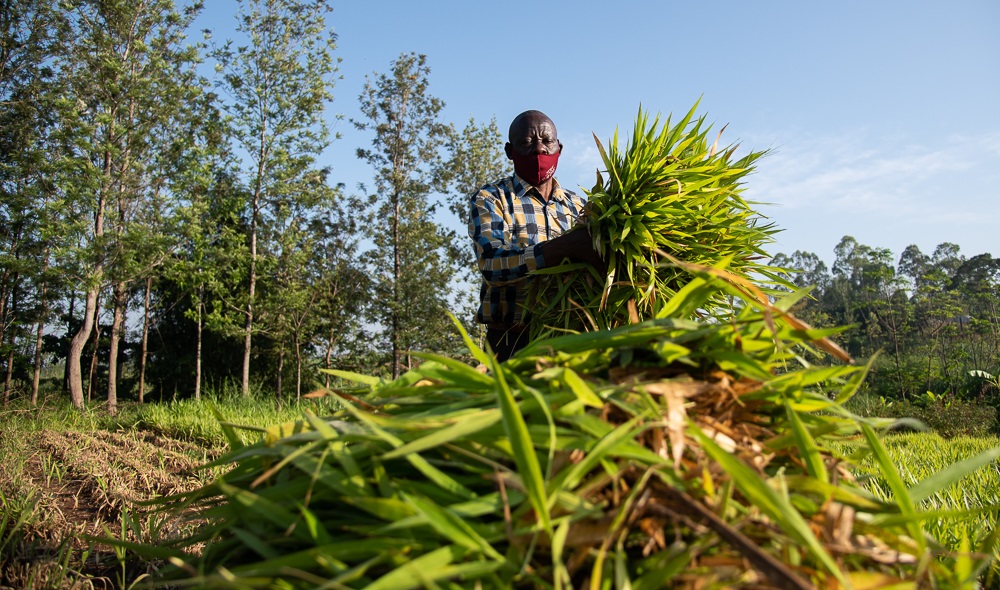 Nandi farmers receive Sh12million compensation for drought losses