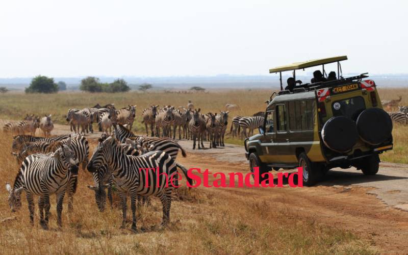 Forex reserves dip by Sh52b on low tourism cash, high imports
