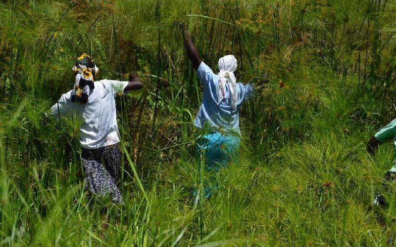 Group fights plan to allocate part of Yala Swamp land to developer