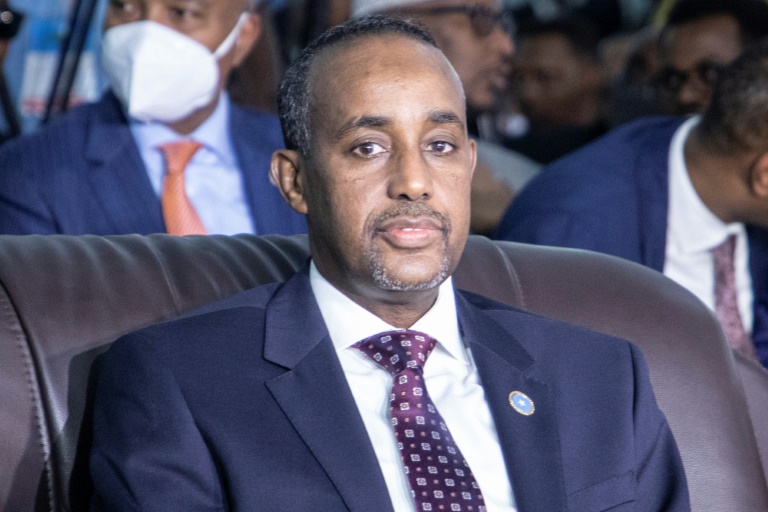 Somalia's president says PM suspended as elections spat deepens » Capital News