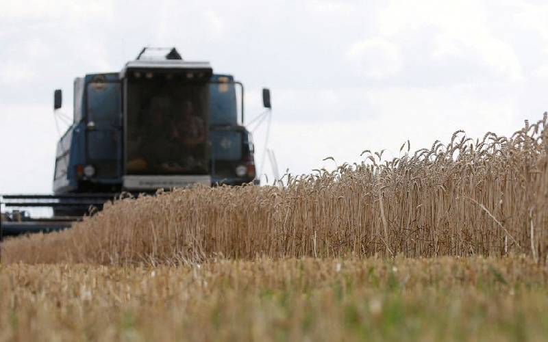 Ukraine’s farmers stalled, fueling fears of massive global food shortages