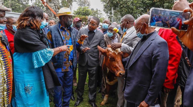 Raila declares nationwide tour as he meets Murang'a tycoon » Capital News