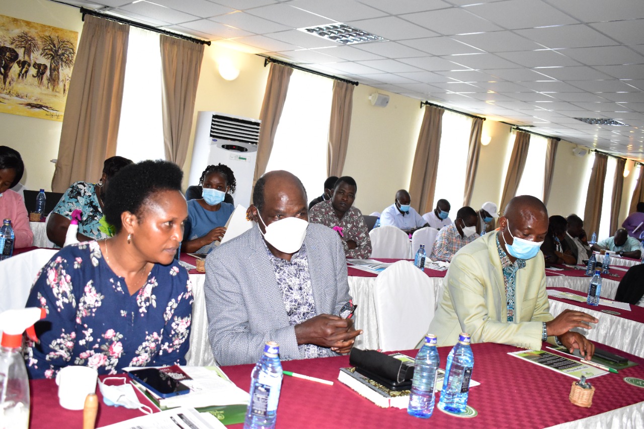 IEBC clears 72 parties for 2022 elections as 10 fail to comply » Capital News