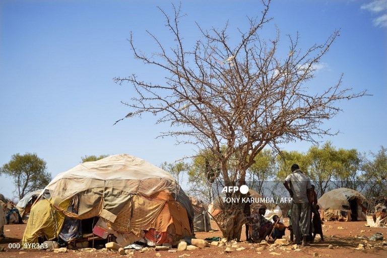 AfDB to mobilize 25 bln USD for climate adaptation in Africa