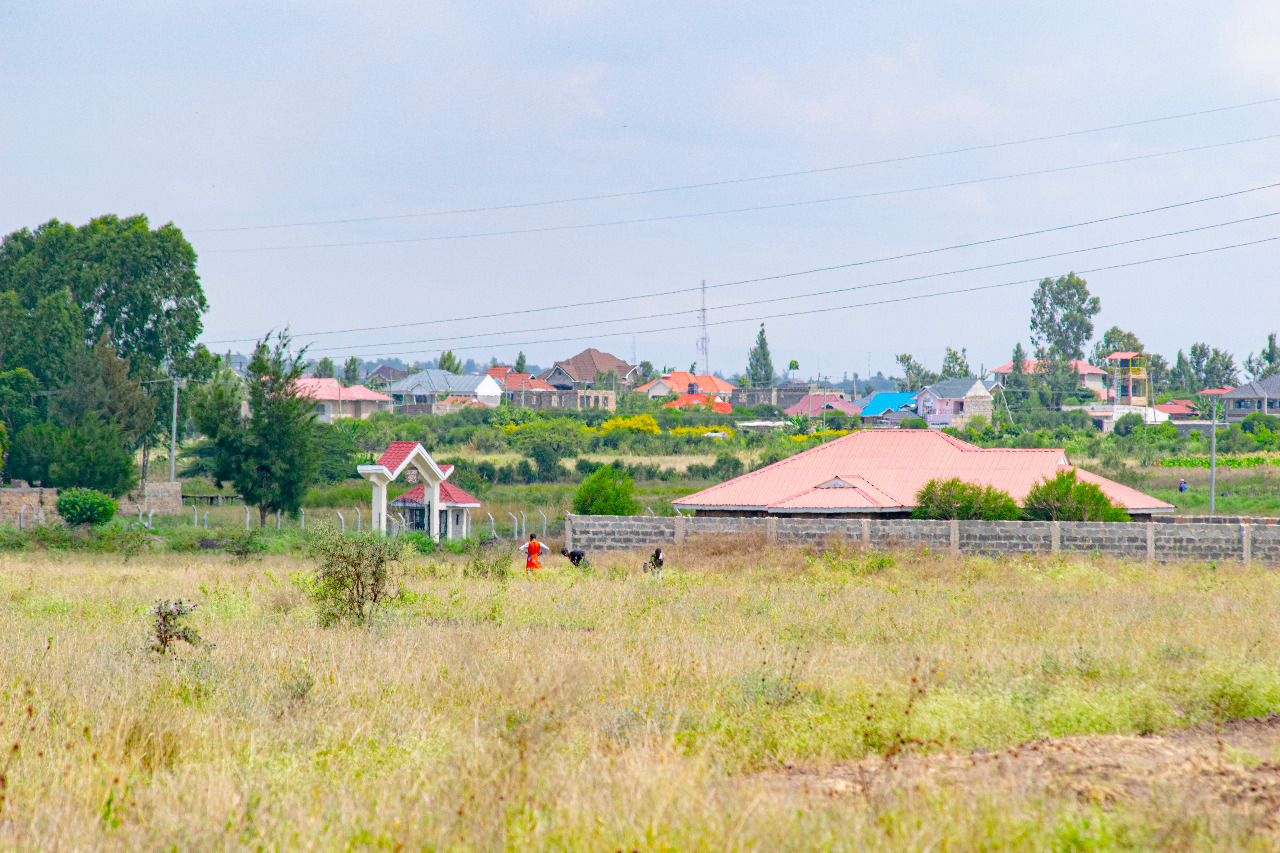 Process Of Acquiring Land From Diaspora
