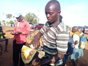 Commercialization of jackfruit in Busia – Kenya News Agency