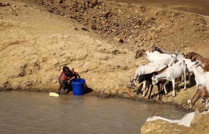 Government launches livestock offtake programme in Laikipia