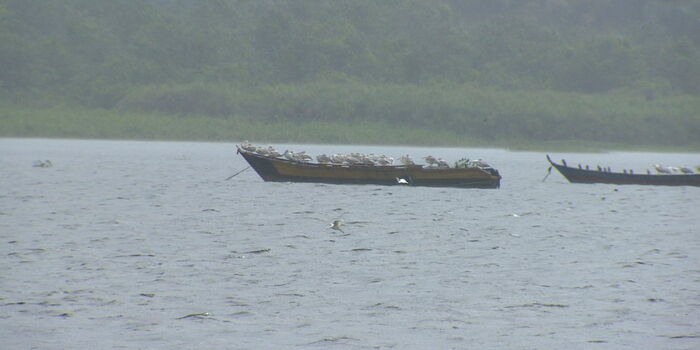 Kenyan Man Escapes Arrest By Swimming 5KM In Lake Victoria