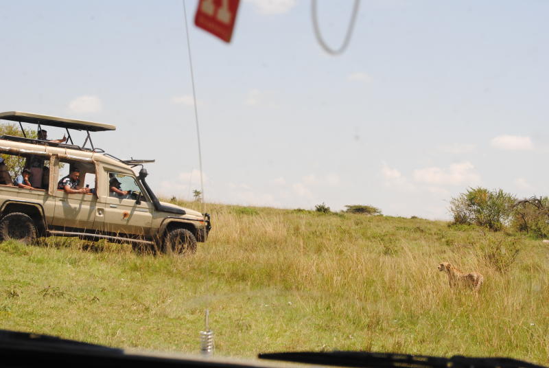 Tourists behaving badly: Visitors risking their lives at Maasai Mara