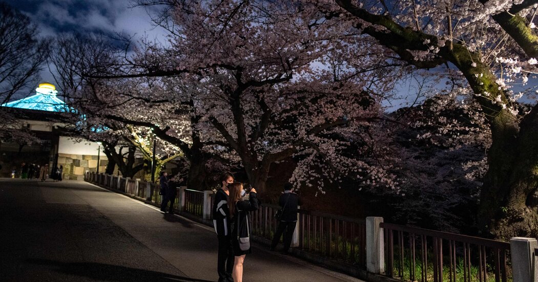 Japan Still Closed to Most Travelers, Despite Asia Reopening