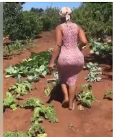 Have you seen this bootylicious LADY who has left men salivating like thirsty hyenas(VIDEO)