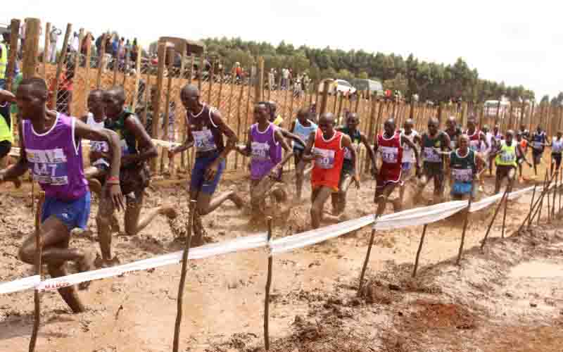 Memorial Agnes Tirop Cross Country meeting venue adjusted : The standard Sports