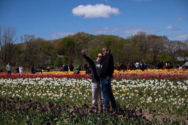 Two people taking a selfie together in a field of flowers in Holland, Mich., this month.