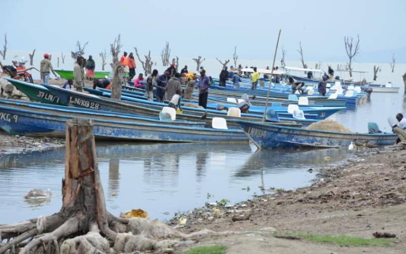 Demarcation of Lake Naivasha boundary begins