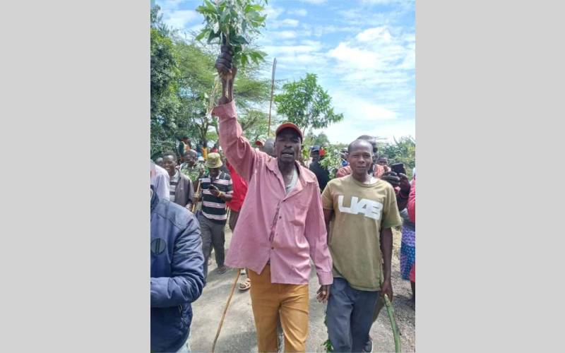 MP in trouble for building Sh30m 'box culvert' instead of bridge: The Standard