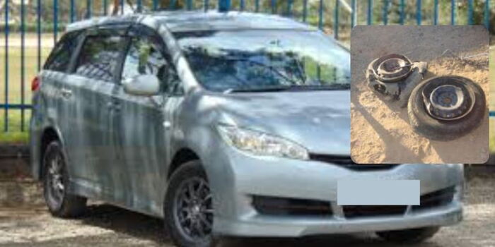 When Kenyans Used Toyota Wish in Road Trip to South Africa