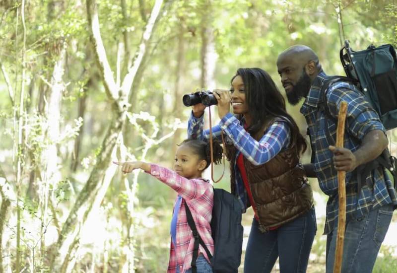 Are you stressed, angry? Try ‘forest bathing therapy’ Eve woman