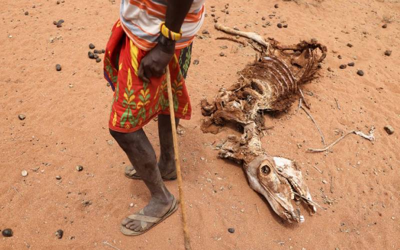 Drought in North Eastern pushes millions towards hunger