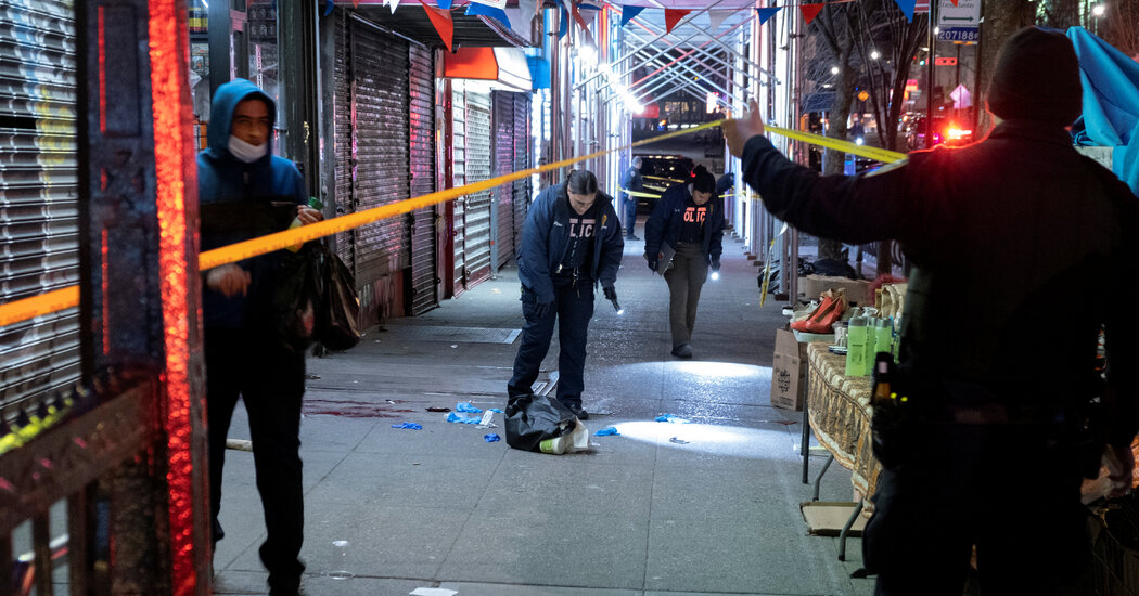 Woman Is Fatally Shot in Bronx Crossfire