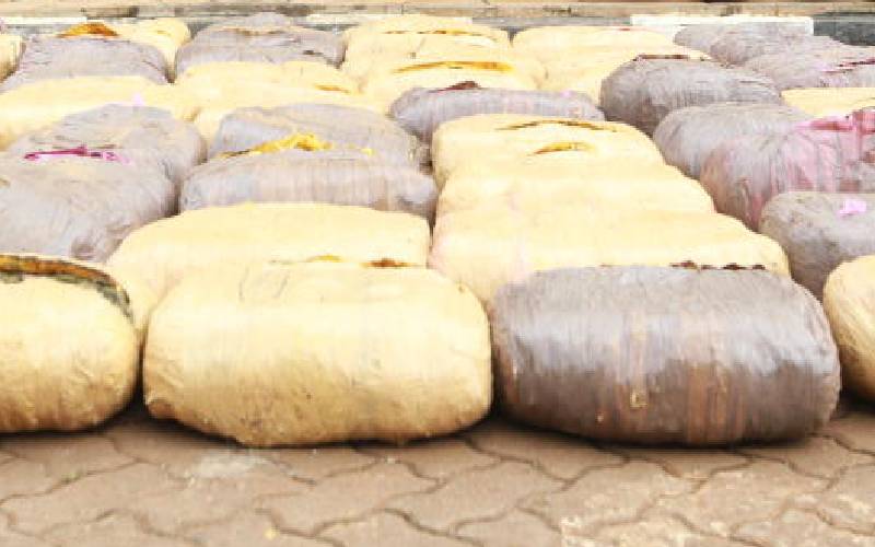 Police net bhang worth over Sh6 million in Nyandarua