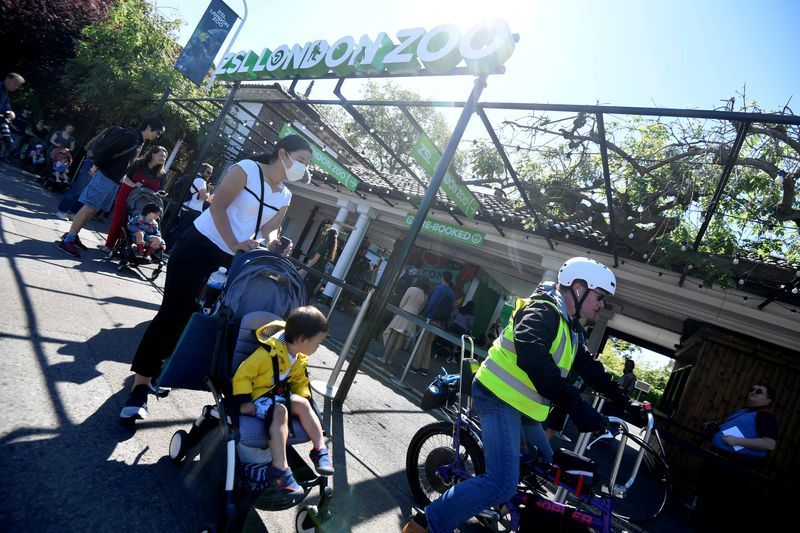 London Zoo on the first day of its reopening since lockdown restrictions ease, during the spread of the coronavirus (COVID-19) disease in London/AFP
