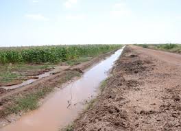 MP raises red flag on stalled Sh7 billion project – Weekly Citizen