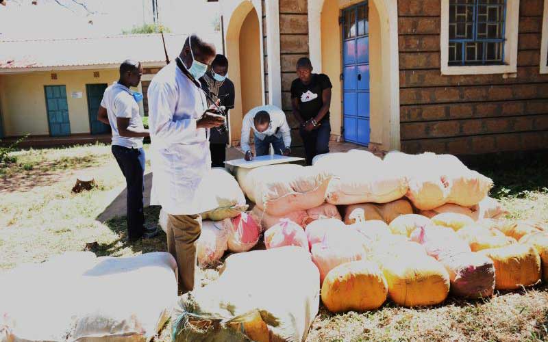 Traced: How bhang from Ethiopia finds its way to Nairobi
