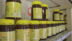County partners with indigenous communities in adoption of modern honey production methods – Kenya News Agency