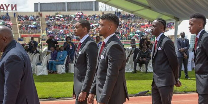 Fact Check: Kibaki's Grandson Did Not Snub Handshake With Raila