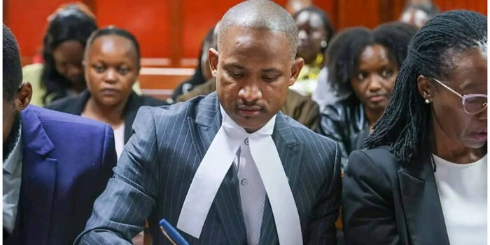 Revealed: Babu Owino Bought DJ Evolve Kilimani House in Settlement