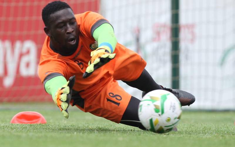 Quick action on Fifa suspension the better for us : The standard Sports