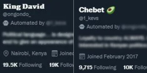 Accounts that had been added to the automated system that Twitter launched.