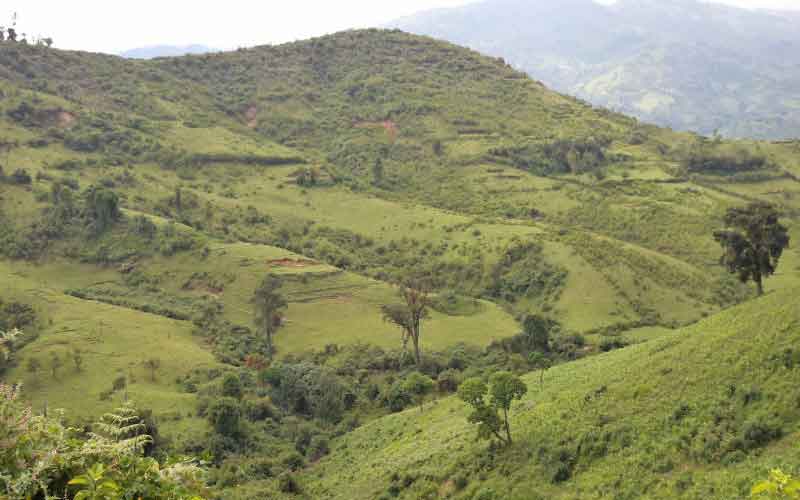 Community vows not to leave forest despite order