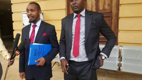 Lawyers